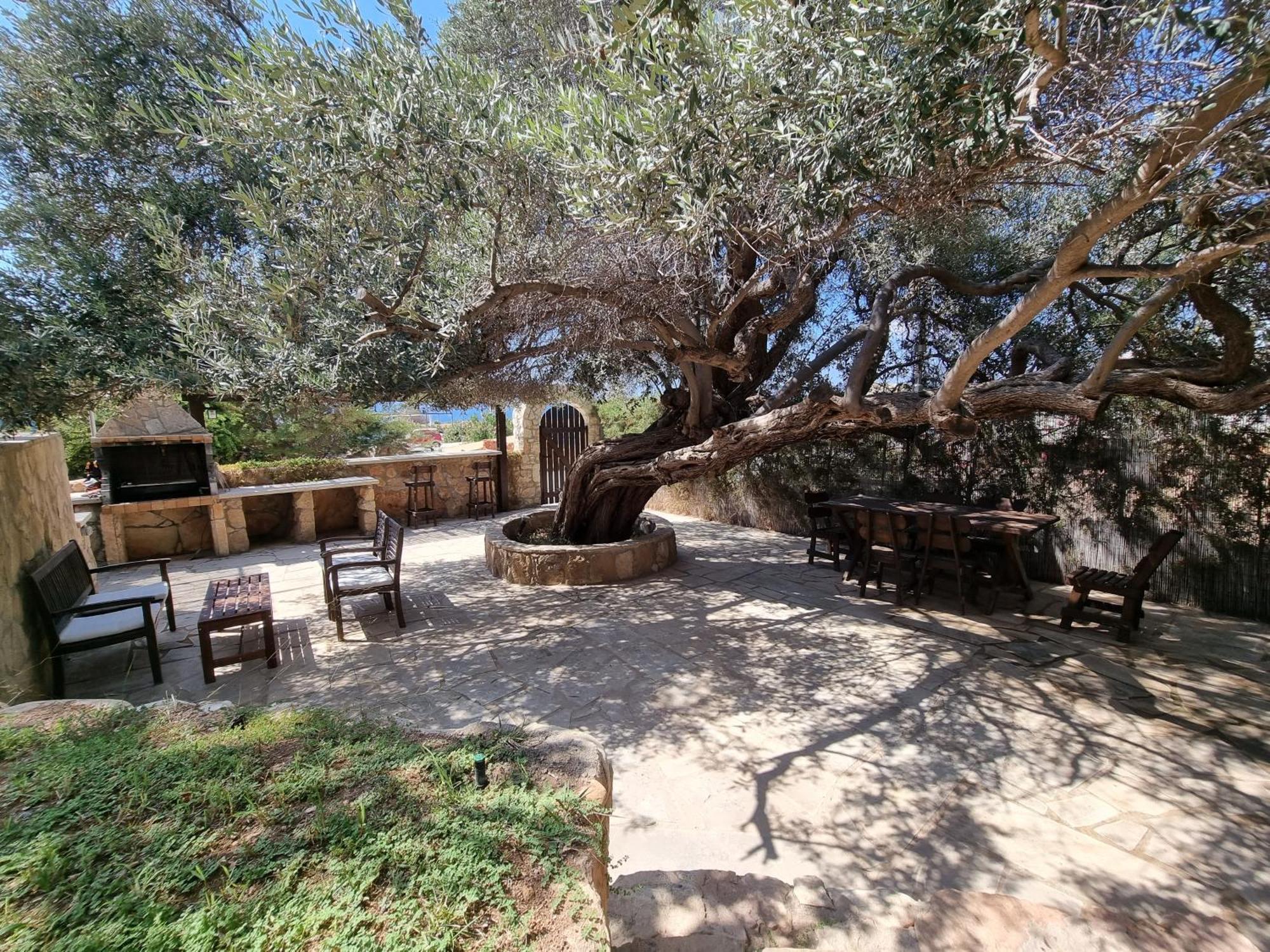 Olive Beach Villa Peyia Exterior foto