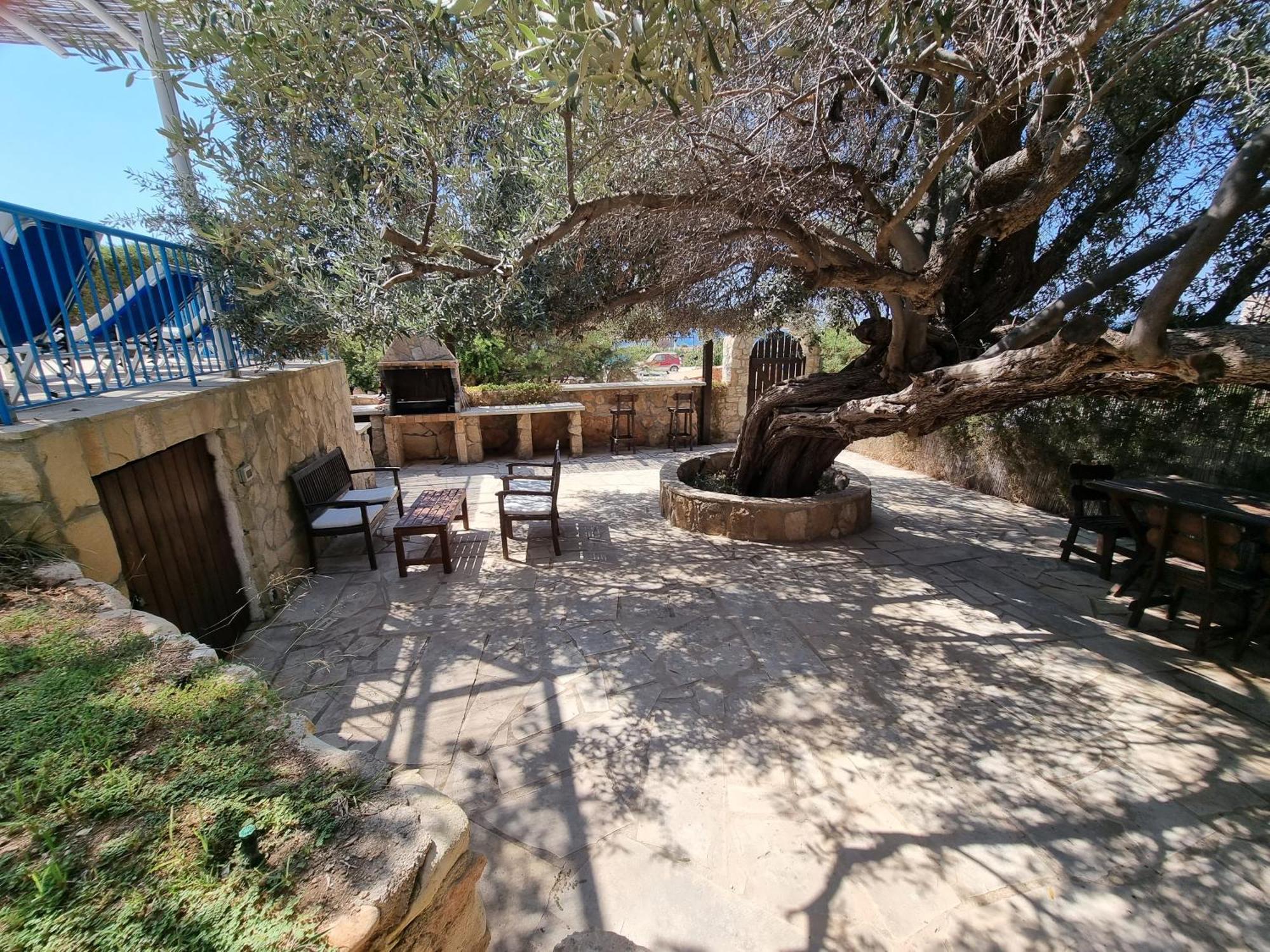 Olive Beach Villa Peyia Exterior foto