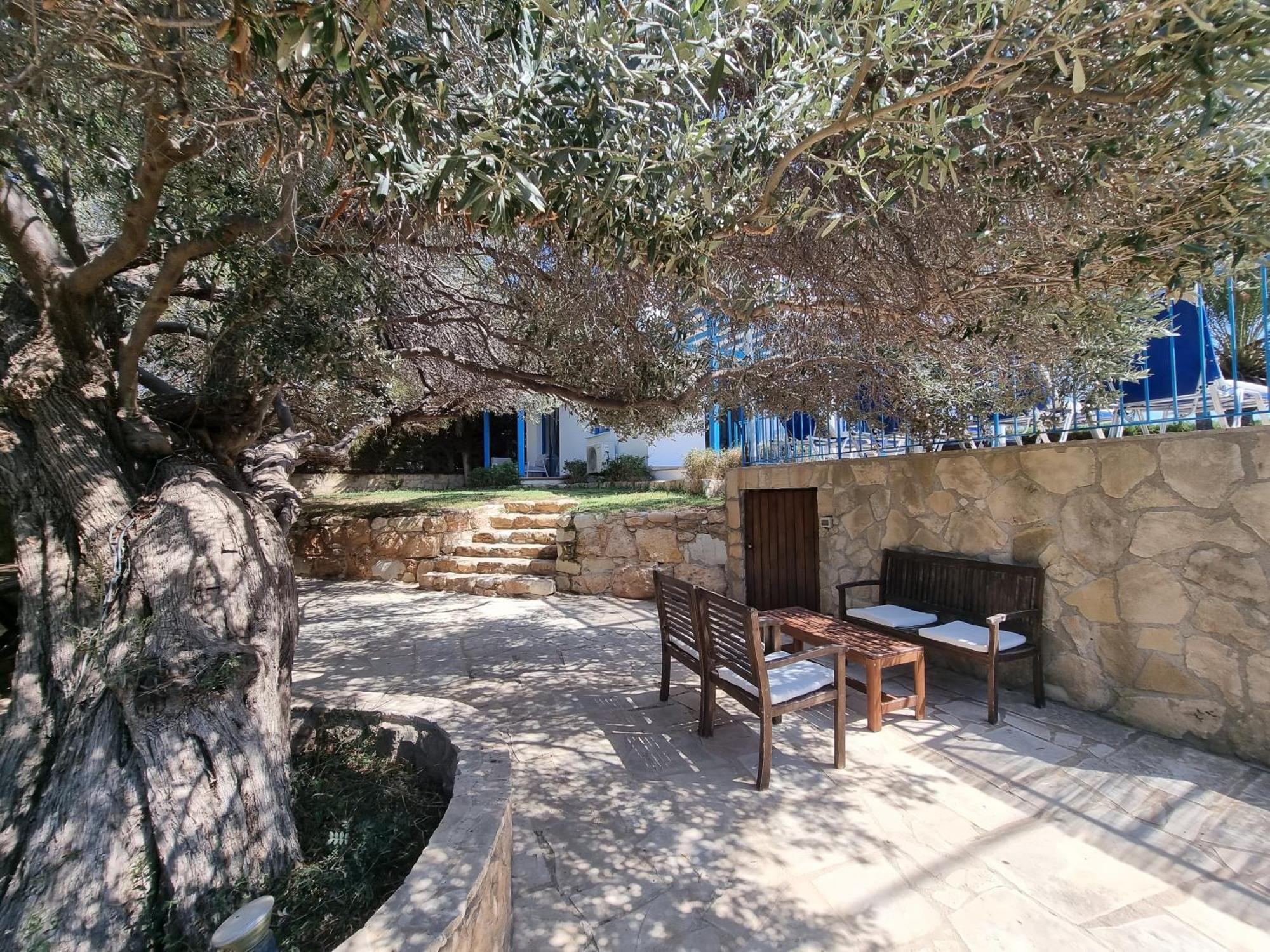 Olive Beach Villa Peyia Exterior foto